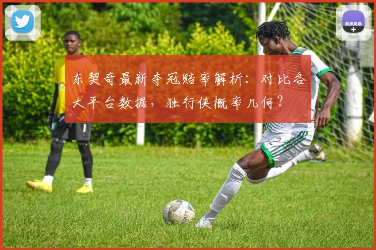 东契奇最新夺冠赔率解析：对比各大平台数据，独行侠概率几何？